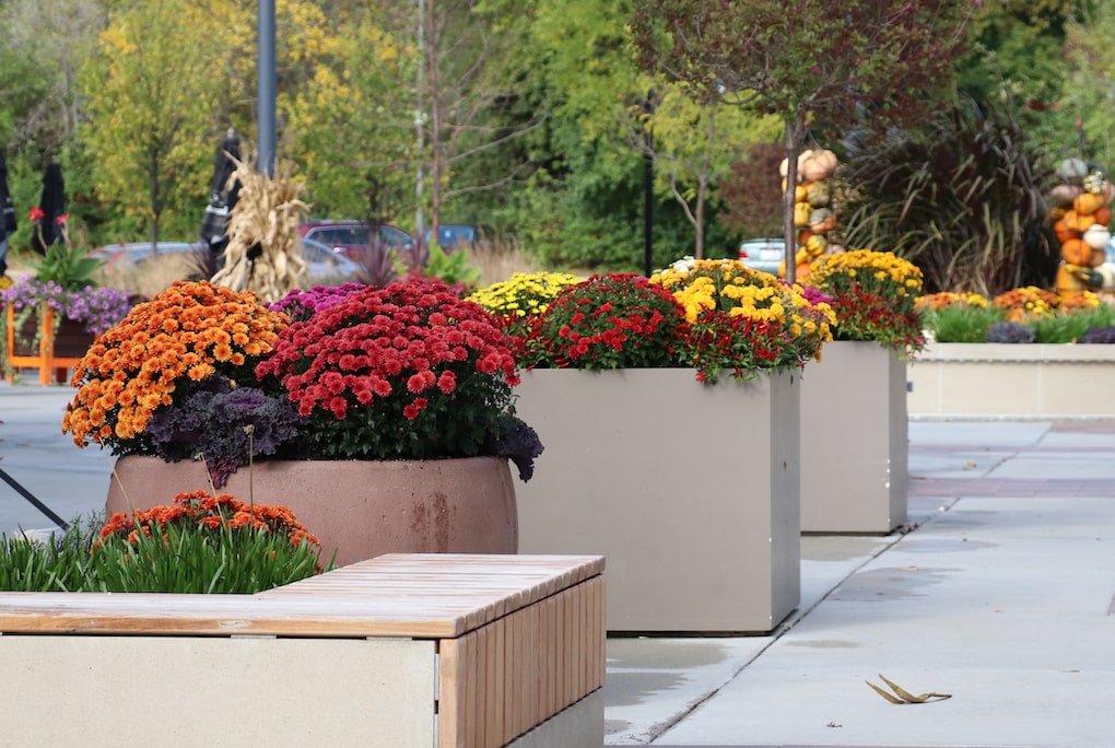 commercial landscaping; commercial construction checklist