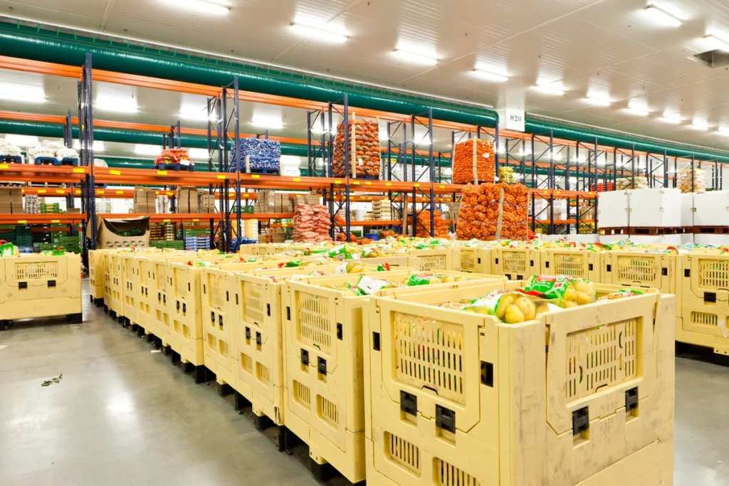 containers filled with vegetables at the warehouse cold storage 