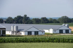 agricultural steel buildings exteriors