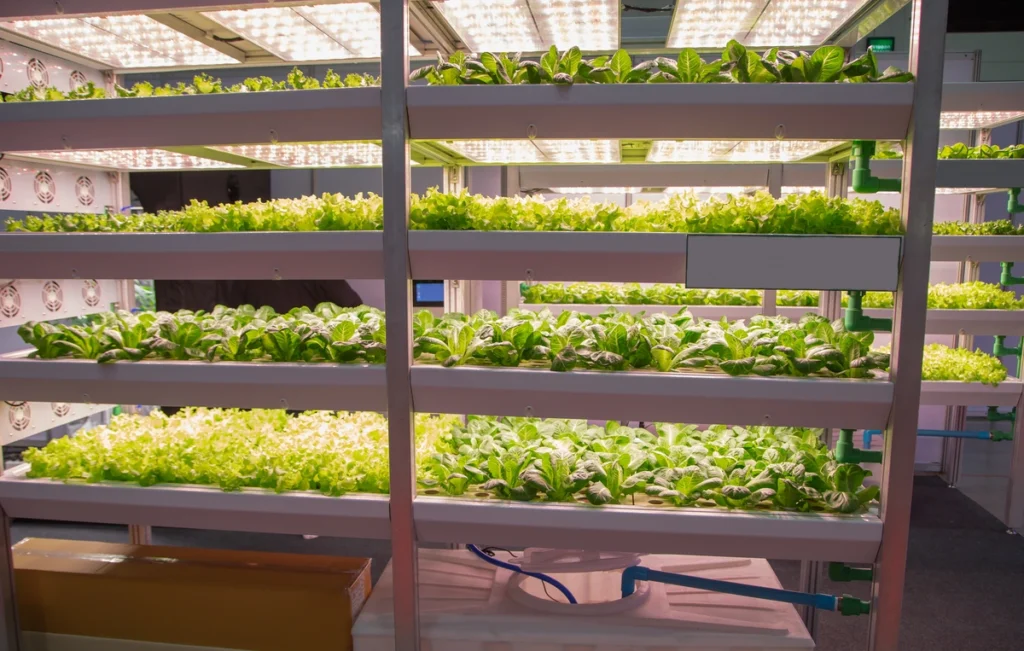 vertical-farm-lighting