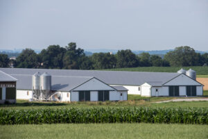 agricultural steel buildings