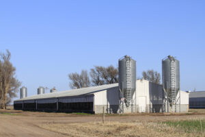 steel barns