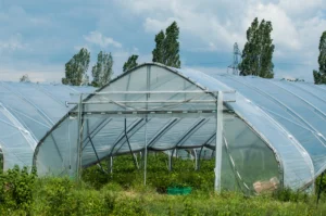 outside view of a commercial cannabis greenhouse