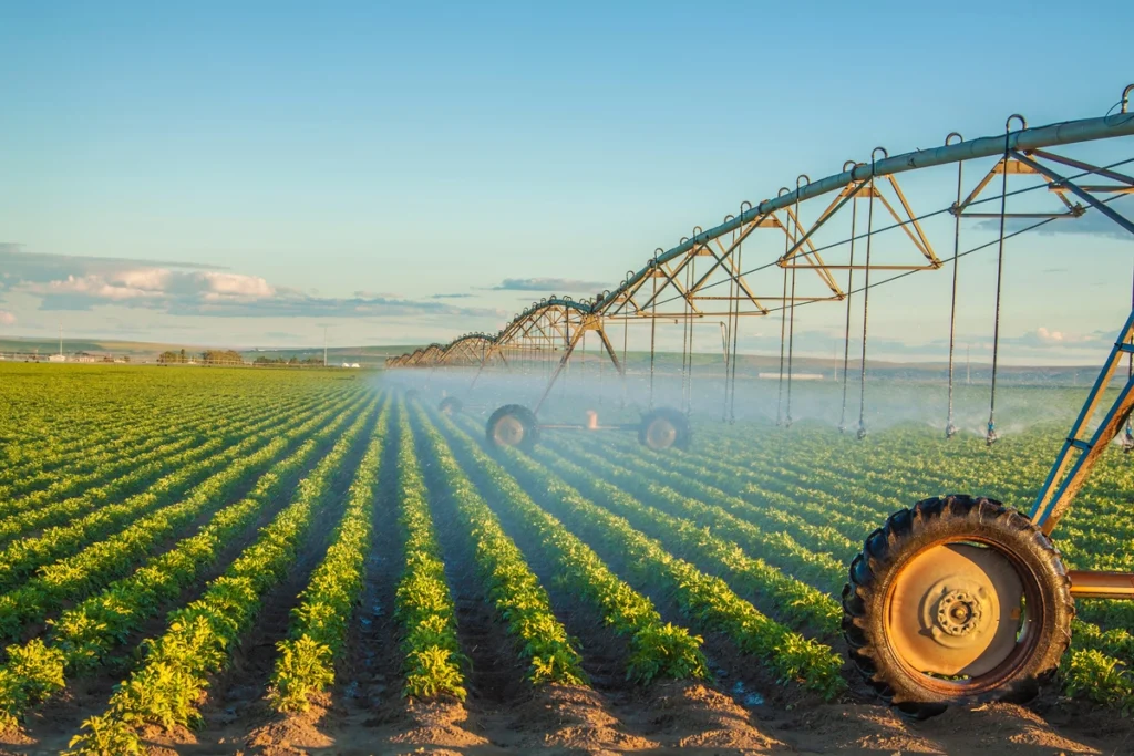 A thriving agribusiness scene featuring a large, modern barn surrounded by lush green fields, with agricultural machinery and workers tending to crops, illustrating the importance of agriculture in the community.