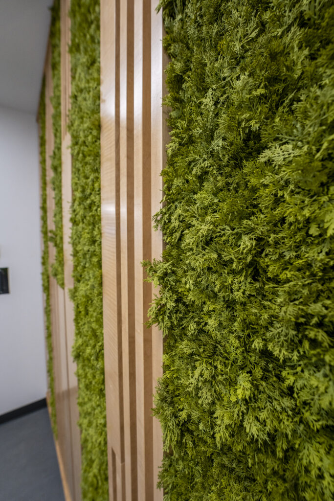 Med Surgical Suites interior with lush green wall and wooden accents.