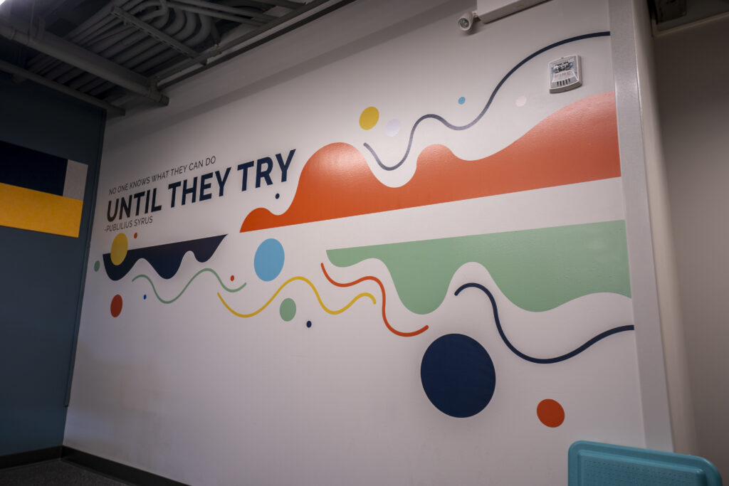Custom Office Murals